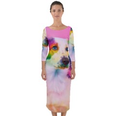 Rainbowdog Quarter Sleeve Midi Bodycon Dress by Sparkle