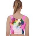 Rainbowdog Velvet Racer Back Crop Top View2