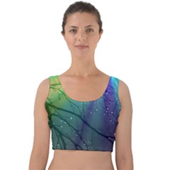 Rainbow Rain Velvet Crop Top