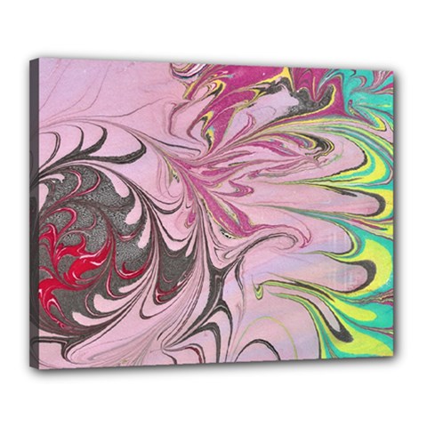 Petals With Marbling Canvas 20  X 16  (stretched)