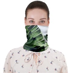 Green Banana Leaves Face Covering Bandana (adult)