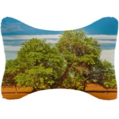 Carob Tree, Talampaya National Park, La Rioja, Argentina Seat Head Rest Cushion by dflcprintsclothing