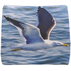 Seagull Flying Over Sea, Montevideo, Uruguay Seat Cushion by dflcprintsclothing