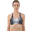 String Theory Back Web Sports Bra View1