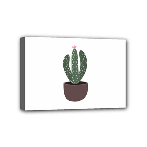 Cactus Mini Canvas 6  X 4  (stretched) by CuteKingdom