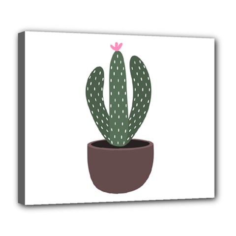 Cactus Deluxe Canvas 24  X 20  (stretched) by CuteKingdom