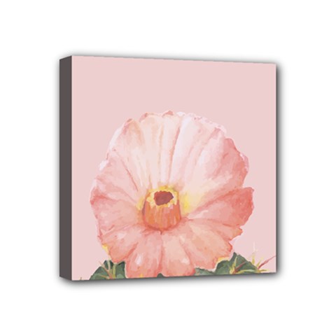 Rose cactus Mini Canvas 4  x 4  (Stretched)