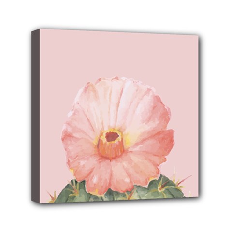Rose cactus Mini Canvas 6  x 6  (Stretched)