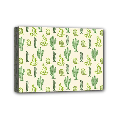 Cactus Pattern Mini Canvas 7  X 5  (stretched) by goljakoff