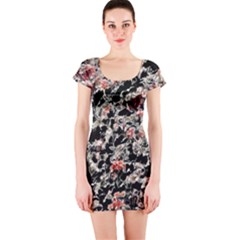 Like Lace Short Sleeve Bodycon Dress by MRNStudios