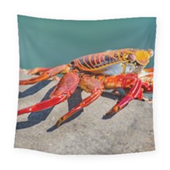 Colored Crab, Galapagos Island, Ecuador Square Tapestry (large) by dflcprintsclothing