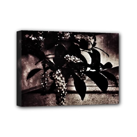 Dark Spring Mini Canvas 7  X 5  (stretched) by MRNStudios