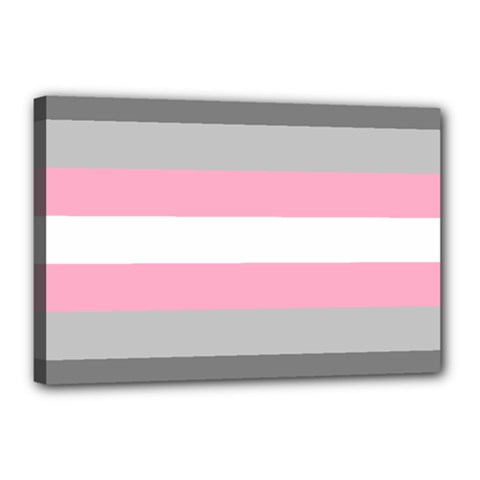 Demigirl Pride Flag Lgbtq Canvas 18  X 12  (stretched) by lgbtnation