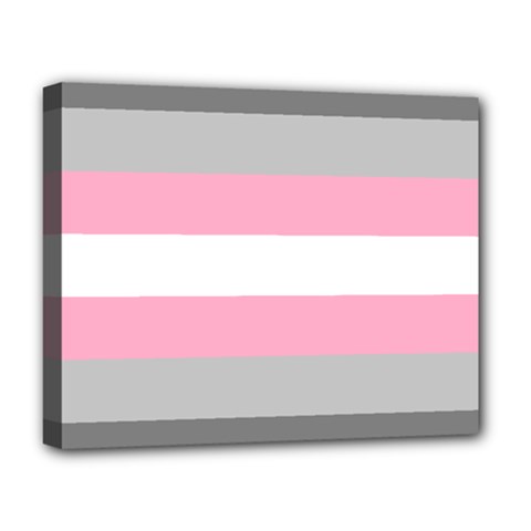 Demigirl Pride Flag Lgbtq Deluxe Canvas 20  X 16  (stretched) by lgbtnation