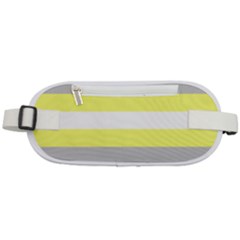 Deminonbinary Pride Flag Lgbtq Rounded Waist Pouch by lgbtnation
