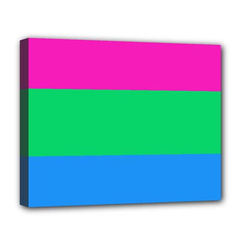 Polysexual Pride Flag Lgbtq Deluxe Canvas 20  X 16  (stretched) by lgbtnation