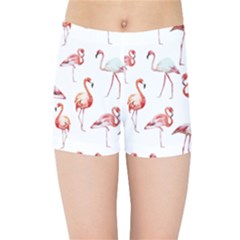 Rose Flamingos Kids  Sports Shorts by goljakoff