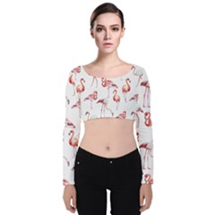 Rose Flamingos Velvet Long Sleeve Crop Top by goljakoff