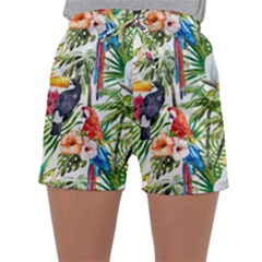 Jungle Birds Sleepwear Shorts by goljakoff