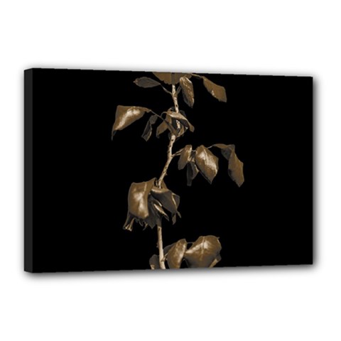 Dark Rose Poster Canvas 18  X 12  (stretched) by dflcprintsclothing