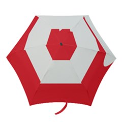 Flag Of Austria Mini Folding Umbrellas by FlagGallery