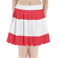 Flag Of Austria Pleated Mini Skirt by FlagGallery