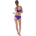 Spanish Violet & White - Ring Detail Crop Bikini Set View2