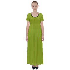 Acid Green & Black - High Waist Short Sleeve Maxi Dress by FashionLane