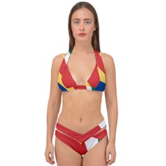 Seychelles-flag12 Double Strap Halter Bikini Set by FlagGallery