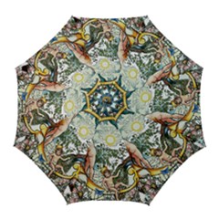 The Illustrated Alphabet - C - By Larenard Golf Umbrellas by LaRenard