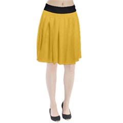 Aspen Gold - Pleated Skirt by FashionLane