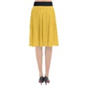 Aspen Gold - Flared Midi Skirt View2