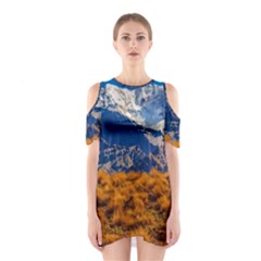 Aconcagua Park Landscape, Mendoza, Argentina Shoulder Cutout One Piece Dress by dflcprintsclothing