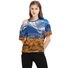 Aconcagua Park Landscape, Mendoza, Argentina One Shoulder Cut Out Tee by dflcprintsclothing