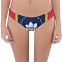 Flag of Mississippi Reversible Hipster Bikini Bottoms View3