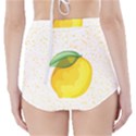 Illustration Sgraphic Lime Orange High-Waisted Bikini Bottoms View2