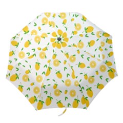 Illustrations Lemon Citrus Fruit Yellow Folding Umbrellas