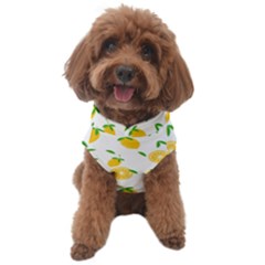 Illustrations Lemon Citrus Fruit Yellow Dog Sweater