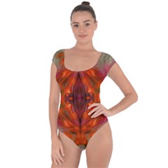 Landscape In A Colorful Structural Habitat Ornate Short Sleeve Leotard  by pepitasart