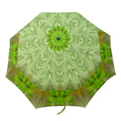 Landscape In A Green Structural Habitat Ornate Folding Umbrellas by pepitasart