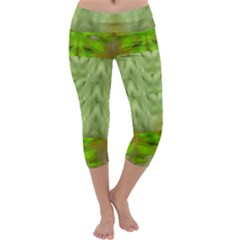 Landscape In A Green Structural Habitat Ornate Capri Yoga Leggings by pepitasart