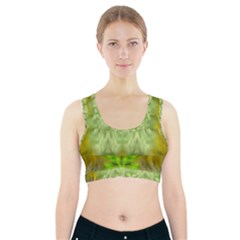 Landscape In A Green Structural Habitat Ornate Sports Bra With Pocket by pepitasart