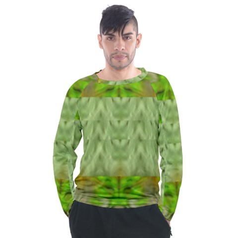 Landscape In A Green Structural Habitat Ornate Men s Long Sleeve Raglan Tee by pepitasart