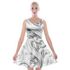 Dragon Lizard Vector Monster Velvet Skater Dress by HermanTelo