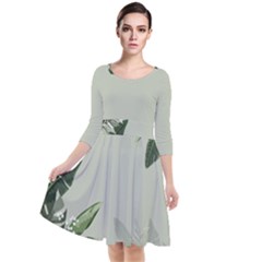 Banana Pattern Plant Quarter Sleeve Waist Band Dress