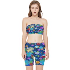 Illustrations Sea Fish Swimming Colors Stretch Shorts And Tube Top Set