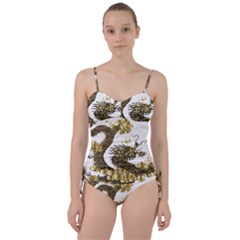 Dragon Animals Monster Sweetheart Tankini Set