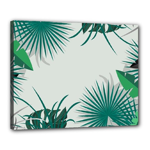 Illustrations Foliage Background Border Canvas 20  X 16  (stretched) by Alisyart