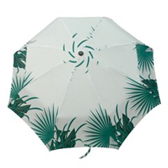 Illustrations Foliage Background Border Folding Umbrellas by Alisyart