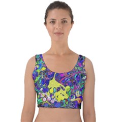 Vibrant Abstract Floral/rainbow Color Velvet Crop Top by dressshop